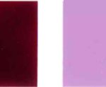 Pigment-violent-19-Color