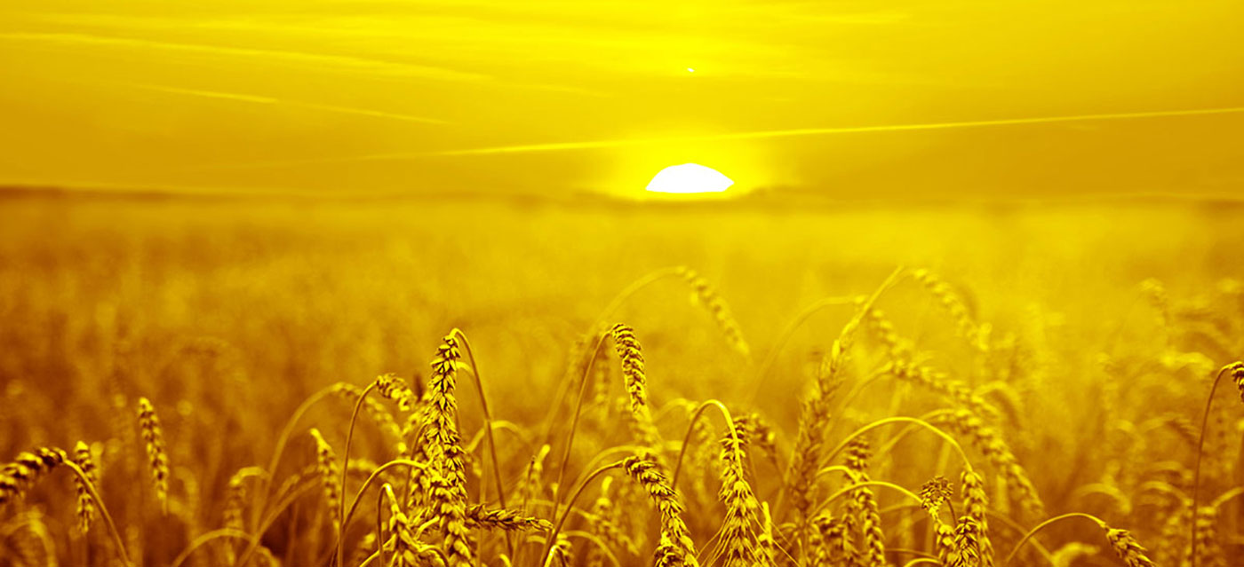 Ens agrada oferir solucions de colors